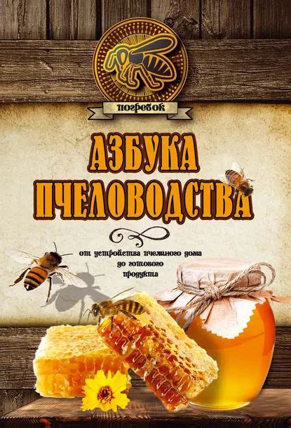 Изготовление яичных продуктов: от яйца до готового продукта