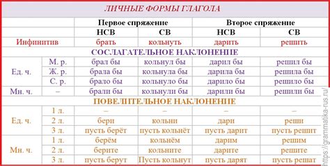 Изменение глагола в русском языке: различия в разных лицах и числах