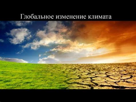 Изменение климата и его воздействие на окружающую среду: поглядывая в будущее