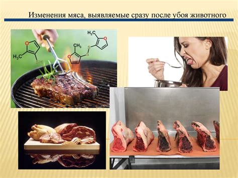 Изменение цвета и текстуры мяса