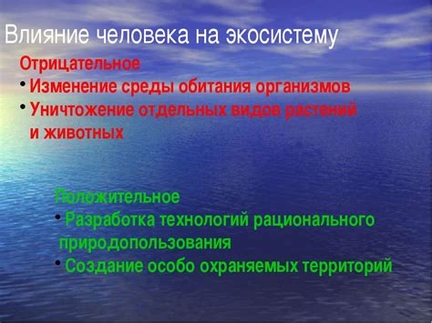 Изменение экологического баланса: влияние исчезновения лесных животных на экосистему