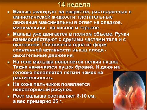 Изменения, происходящие в организме во время беременности