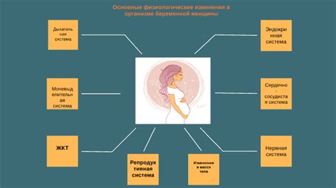 Изменения в организме женщины после удаления матки: физиологические процессы и последствия