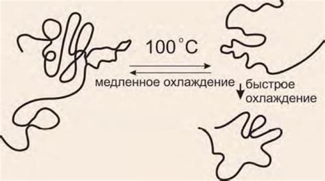 Изменения в структуре белка при нагревании