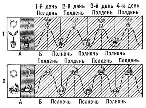 Изменения в физиологии человека при постоянной ночи