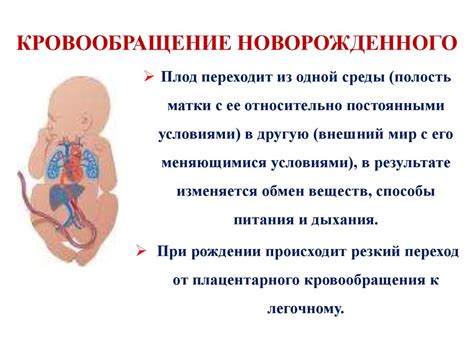 Изменения структуры колен после рождения