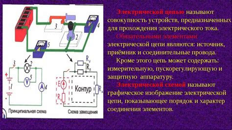 Измерение длины ноги: основные принципы и методы