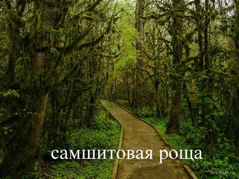 Изобилие растительного и животного мира в окрестностях места стока Протвы в Оку