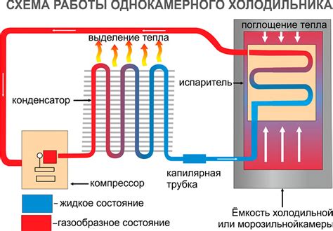 Изучаем структуру и принцип работы современного холодильника Samsung