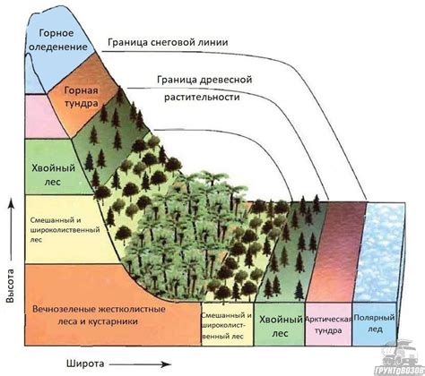 Изучение геологических образцов и горных образований для эффективного поиска