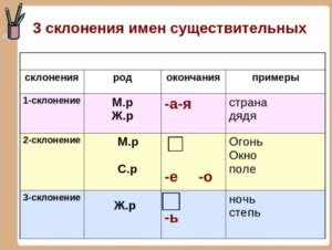 Изучение особенностей морфологии и семантики существительных