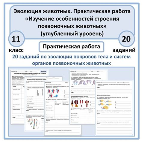 Изучение особенностей строения автомобиля: глубокий анализ и аналитика