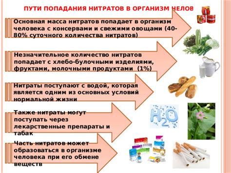 Изучение роли нитратов в организме: понятие и влияние