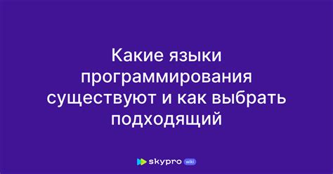 Изучите основные языки программирования и найдите подходящий для вас