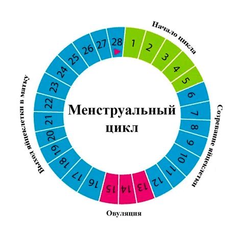 Изучите свой месячный цикл и выделите "безопасные" дни