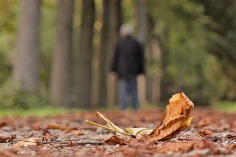 Импакт утраты партнера на фертильность лебедей: связь между смертью и демографическим падением