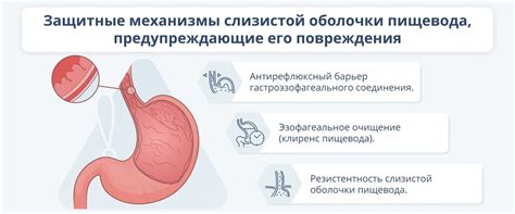 Инновационные препараты для лечения гастроэзофагеальной рефлюксной болезни