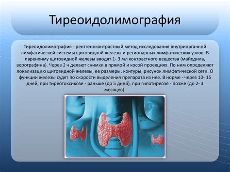 Иновационные методы и современные подходы к массажу лимфатической системы