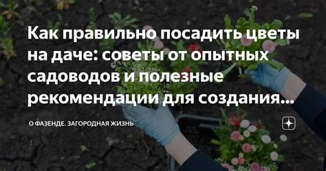 Инструкции и советы для создания письменной благодарности