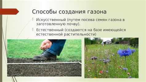 Инструкция по удалению осенней растительности с участка газона