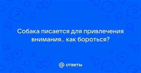 Интерактивные возможности для привлечения внимания