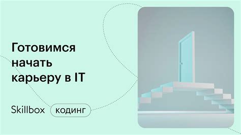 Интерншипы и стажировки: их влияние на развитие карьеры в программировании