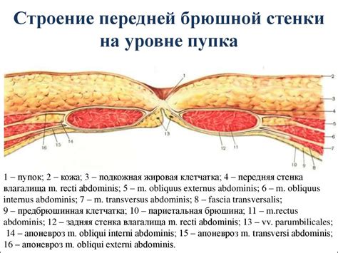 Интерпретация снов об операции путем разрезания брюшной стенки: необычные значения