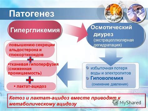 Интра- и экстрацеллюлярная матрица вокруг агглютинационных элементов