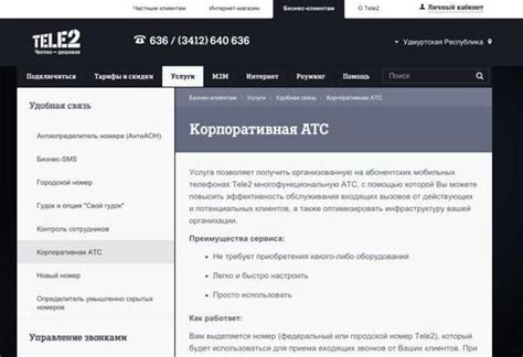 Информация о виртуальной атс МегаФон