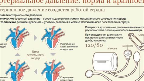 Информация о повышении артериального давления при физической нагрузке с привлечением новых фактов