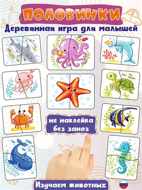 Инциденты с морскими обитателями: известные случаи нападений и травмирования человека