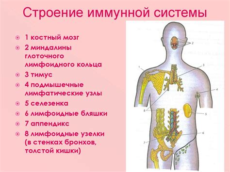 Ионизация и укрепление иммунной системы