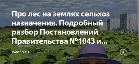 Искания и откровения пользователей, стремящихся найти сущность ltx на заброшенных землях