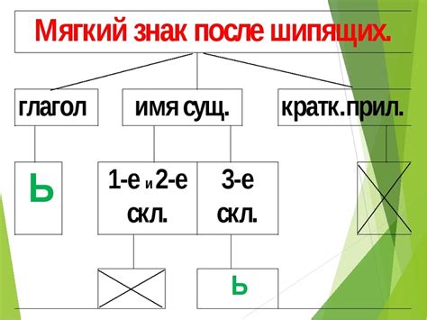 Исключительные случаи при применении знака "ь" с шипящими