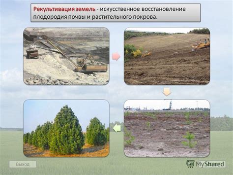 Искусственное восстановление плодородия почв