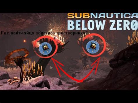 Использование ампул для лечения в подводной игре Subnautica Below Zero