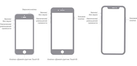 Использование встроенных функций кнопки "Домой" на iPhone 10