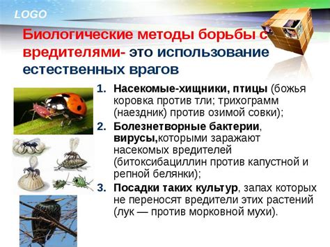 Использование естественных врагов в борьбе с вредносцами