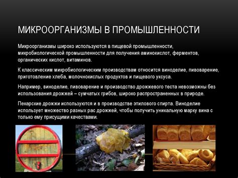 Использование мухоморов в пищевой промышленности