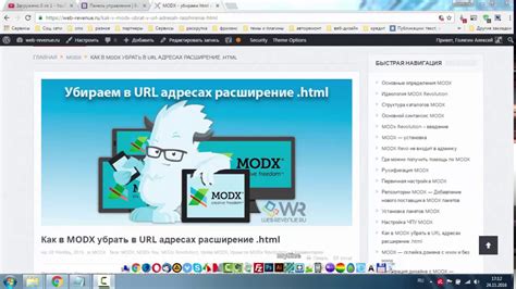 Использование обратного слэша в URL-адресах в веб-разработке