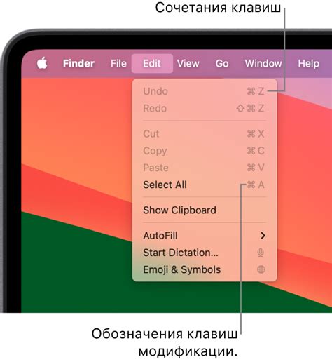 Использование сочетаний горячих клавиш в macOS для доступа к флеш-накопителю