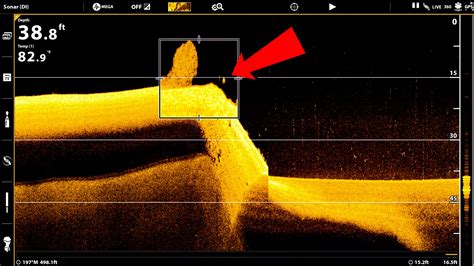 Использование функции Side Imaging: обнаружение рыбы вблизи берега