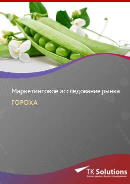 Исследование биологических особенностей культуры гороха в Российской федерации