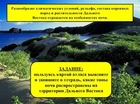 Исследование климатических условий и почвенного состава