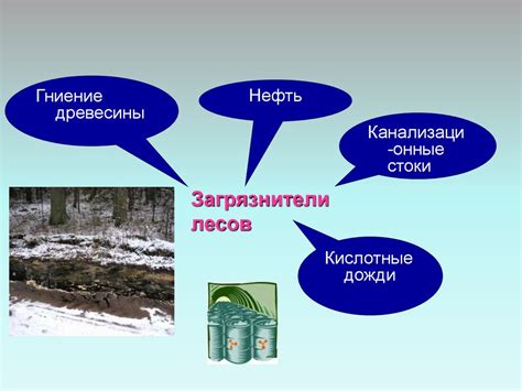 Исследование окружающей среды: признаки, указывающие на присутствие золотых месторождений