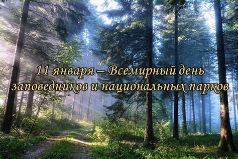 Исследование природных парков и заповедников в окрестностях Сиде и Анталии