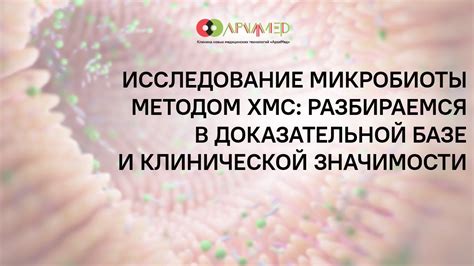 Исследование программного продукта: разбираемся в его особенностях