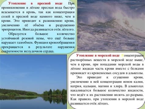 Исследования об акклиматизации скатов к пресной воде