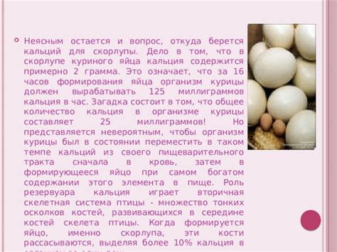 Исследования о влиянии сырого куриного яйца на организм человека