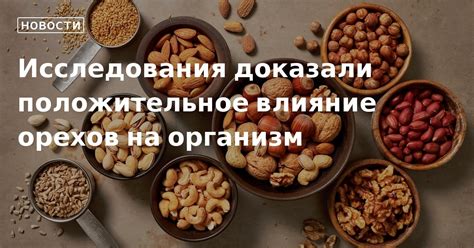 Исследования подтверждают благотворное воздействие орехов на организм